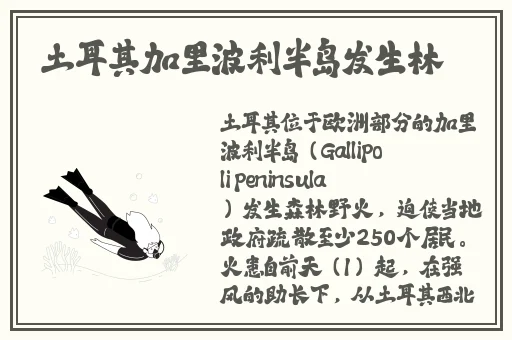 66m66模式视频-威九国际3国际